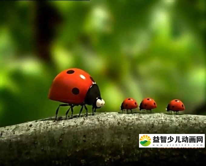 儿童益智动画片《微小的世界》全98集 高清/MP4/1.97G 动画片微小的世界全集下载-益智少儿动画网