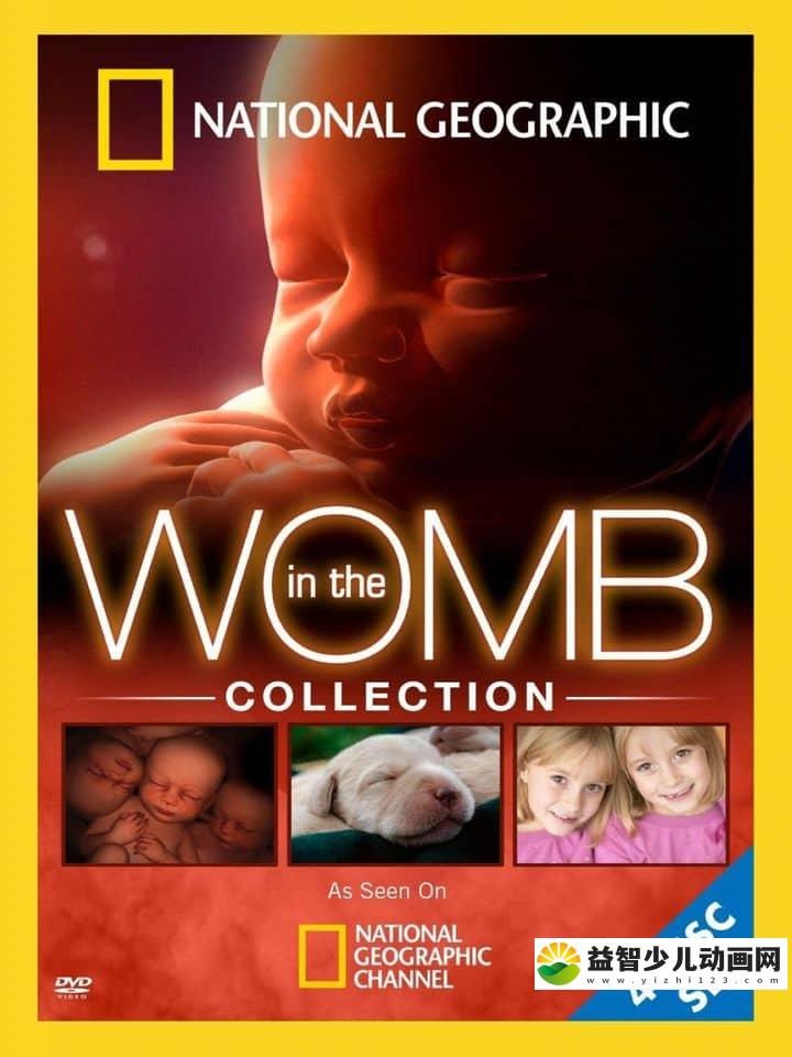 亲子纪录片《子宫日记:人类篇 In the Womb》英语中字 720P/MKV/2.19G 让宝宝知道自己是怎么来的-益智少儿动画网